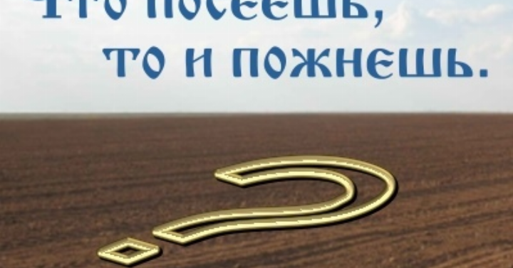 Что посеешь. Что посеешь то и пожнешь. Что посеешь то и пожнешь картинки. Что посеешь то и пожнешь иллюстрация. Что посеешь то и пожнешь Библия.